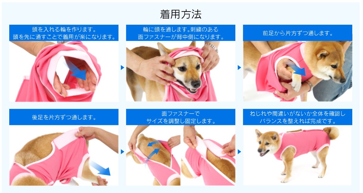 howto.JPG