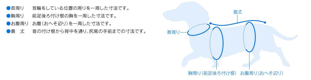 size.JPG